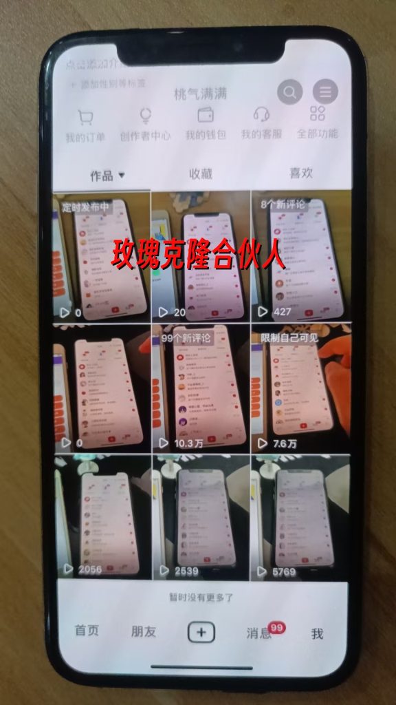 图片[20]-玫瑰克隆工具详细介绍-俗人博客网