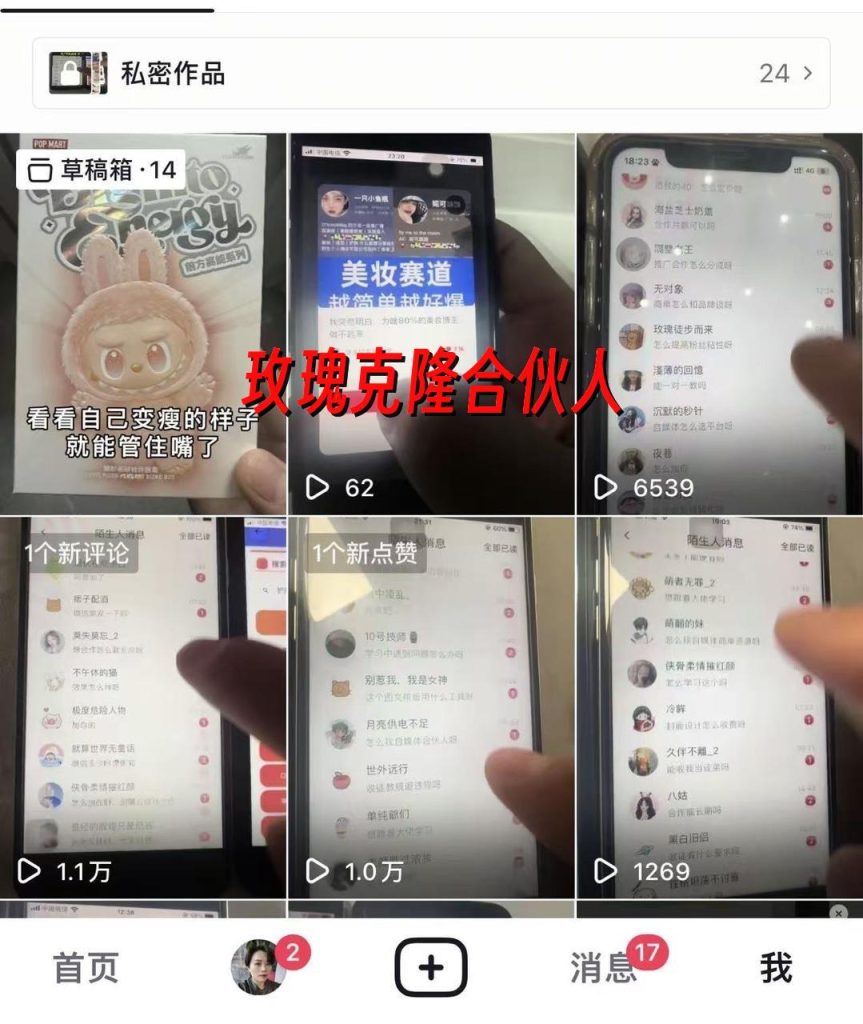 图片[27]-玫瑰克隆工具详细介绍-俗人博客网